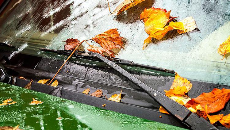 автошкола Вердант